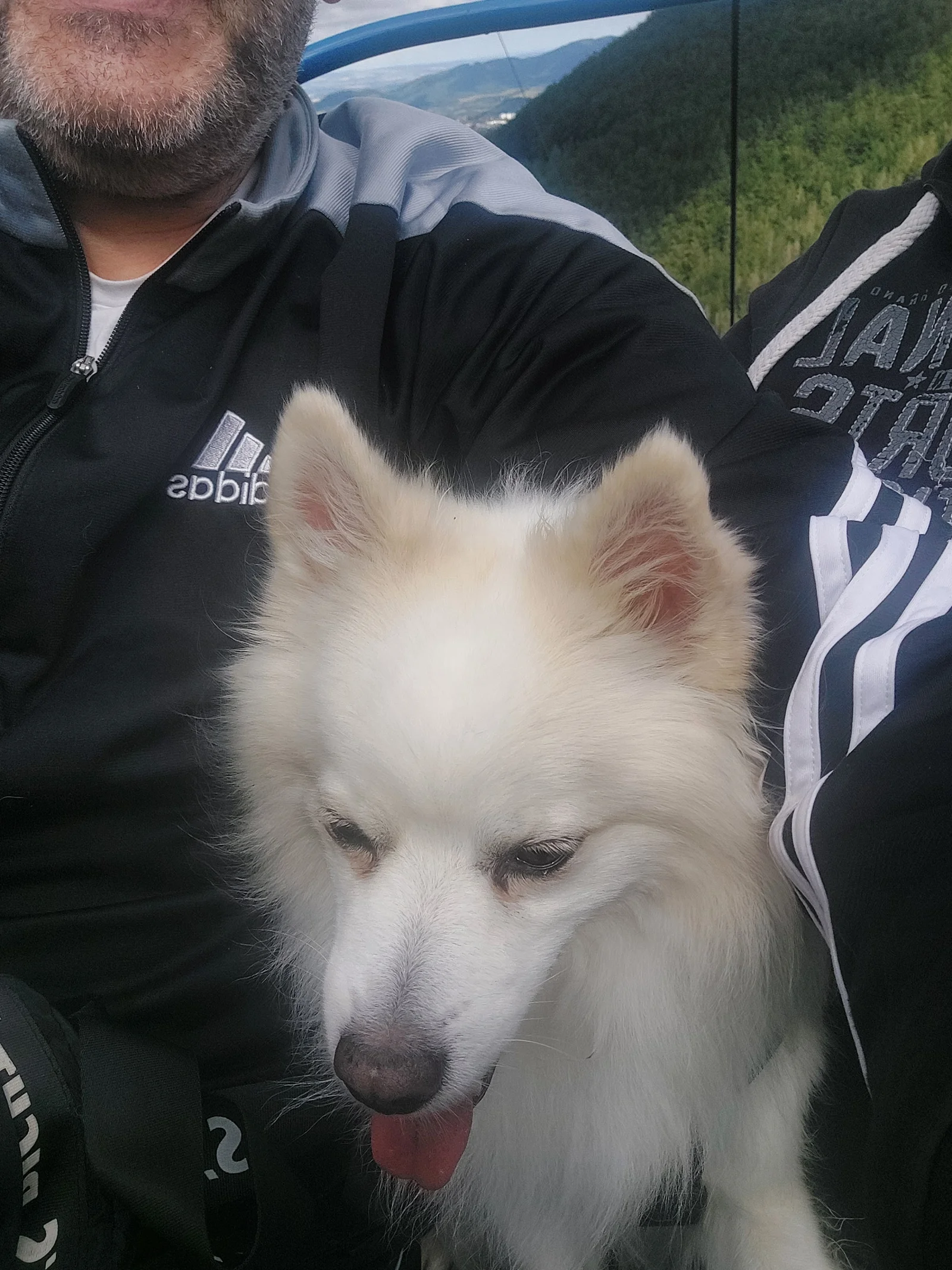 Monty na lanovce
